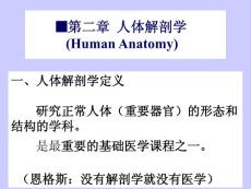 基础医学-人体解剖学
