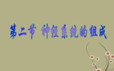 山東省日照市東港實(shí)驗(yàn)學(xué)校七年級(jí)生物下冊(cè)《神經(jīng)系統(tǒng)》課件 新人教版