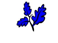 我的《藍樹葉》