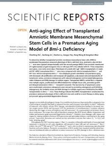 anti-aging effect of transplanted amniotic membrane mesenchymal stem cells in a premature aging model of bmi-1 deficiency：抗衰老作用的移植羊膜间充质干细胞过早衰老模型中的不足