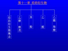 烃的衍生物概念乙醇醇类苯酚乙醛乙酸羧酸