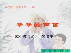 爷爷的芦笛课件PPT版