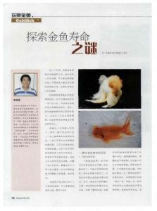 探索金鱼寿命之谜