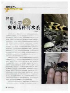 异型原生态之奥里诺科河水系