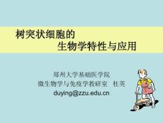 樹突狀細胞的生物學特性與應用