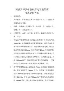 国投罗钾罗中散料库地下胶带廊渗水处理方案