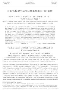 肝损伤模型小鼠高迁移率族蛋白-1+的表达