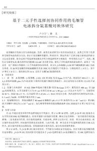 基于二元手性選擇劑協同作用的毛細管電泳拆分氨基酸對映體研究