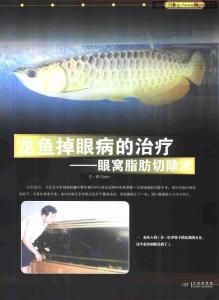 龙鱼掉眼病的治疗——眼窝脂肪切除术