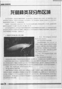 龙鱼种类及分布区域
