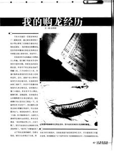 我的购龙经历