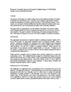 Property Casualty Insurer Economic Capital using a VAR Model…
