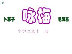 卜算子·咏梅 课件  PPT课件