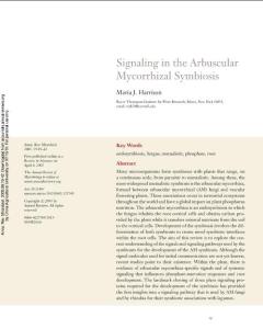 Signaling In The Arbuscular Mycorrhizal Symbiosis