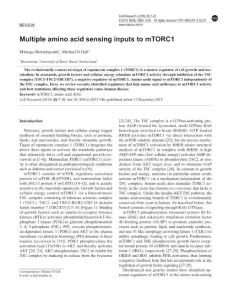 cr2015146a-Multiple amino acid sensing inputs to mTORC1
