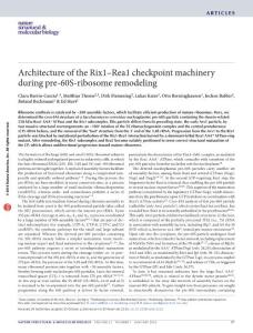 nsmb.3132-Architecture of the Rix1–Rea1 checkpoint machinery during pre-60S-ribosome remodeling