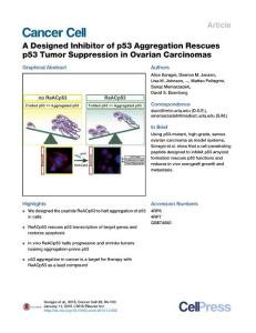 cancer cell-2016-A Designed Inhibitor of p53 Aggregation Rescues p53 Tumor Suppression in Ovarian Carcinomas