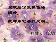 人教版初一語文盲孩子和他的影子課件三