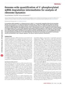 nprot.2016.026-Genome-wide quantification of 5′-phosphorylated mRNA degradation intermediates for analysis of ribosome dynamics