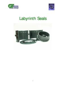 Labyrinth Seal (190803)