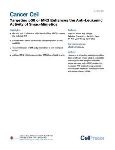 Cancer Cell-2016-Targeting p38 or MK2 Enhances the Anti-Leukemic Activity of Smac-Mimetics