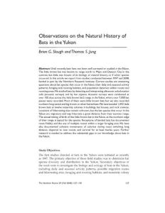 Observations on the Natural History of Bats in the Yukon