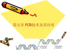 第5章 PCR技術(shù)及其應(yīng)用