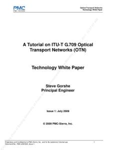 OTN入门技术白皮书 @PMC