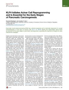 Cancer Cell-2016-KLF4 Initiates Acinar Cell Reprogramming and Is Essential for the Early Stages of Pancreatic Carcinogenesis