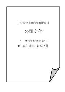 公司文件封面