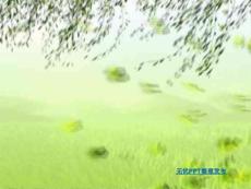 風吹煙柳