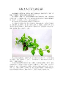 如何為辦公室選購綠植-月夜