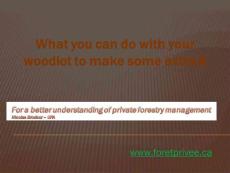 What you can do with your woodlot to make some extra