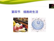 第四節(jié) 細胞的生活1