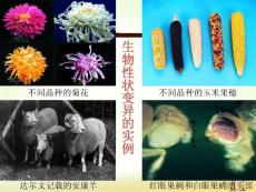 第四節(jié)_《生物的變異》ppt課件