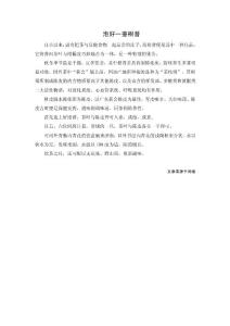 如何泡好一壺柑普