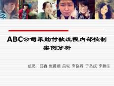 審計案例分析ppt課件