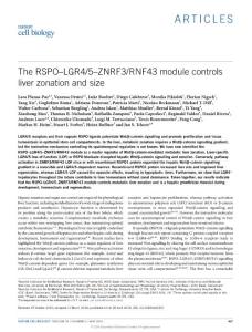 ncb3337-The RSPO–LGR4-5–ZNRF3-RNF43 module controls liver zonation and size