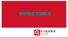 京東店鋪托管代運營.安耐馳客戶案例