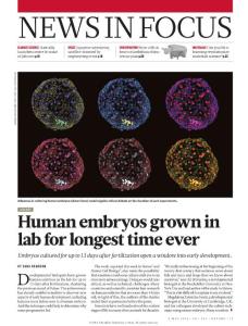 Human embryos grown in lab for longer than ever before-nature-2016-5-5