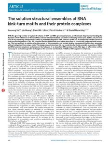 nchembio.1997-The solution structural ensembles of RNA kink-turn motifs and their protein complexes