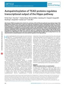 nchembio.2036-Autopalmitoylation of TEAD proteins regulates transcriptional output of the Hippo pathway