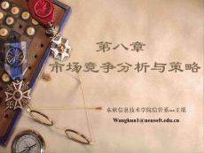 市场营销讲座：市场竞争的分析与策略