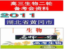 湖北省黄冈市2011届高三生物二轮备考会资料