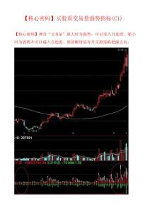 核心密碼看交易量(C1)