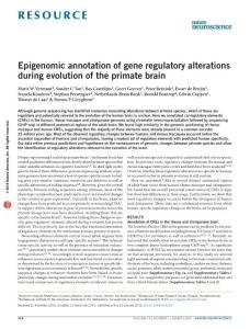 nn.4229-Epigenomic annotation of gene regulatory alterations during evolution of the primate brain