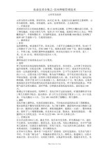 云杉育苗技術(shù)