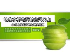 农村电商的机遇与现实问题