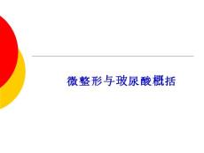 微整形與玻尿酸概括課件