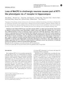 cr201648a-Loss of MeCP2 in cholinergic neurons causes part of RTT-like phenotypes via α7 receptor in hippocampus